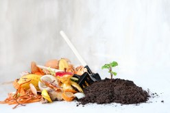 Building a Compost Bin in Small Spaces: Creative Solutions for Urban Gardens