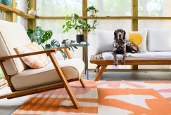 What to Look for When Choosing a Pet-Friendly Hotel